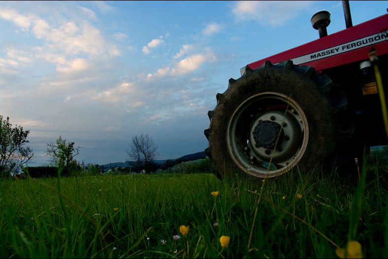 MASSEY FERGUSON