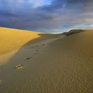 Dune du Pyla