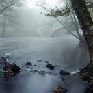 Brume