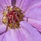 Unfurling