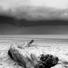 Storm coming