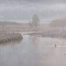 Fog Over Ahley Creek