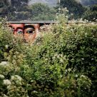 Spying