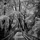 Into the unknown
