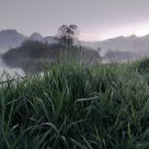Misty Green
