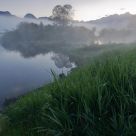 Misty Morning