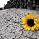 Parched