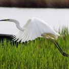 Take-off