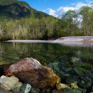 Peaceful Stream