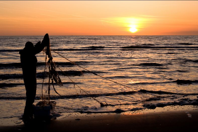 The fisherman