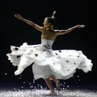 Peacock Dance