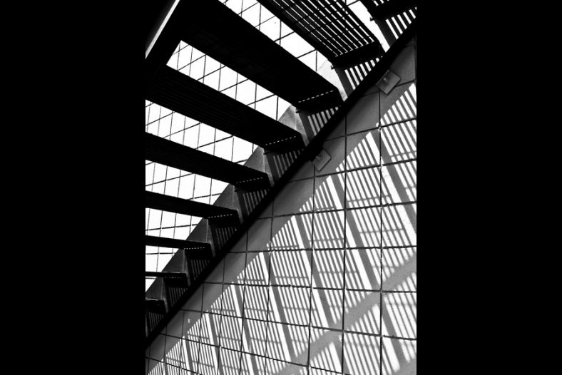 Monochrome Conrasts