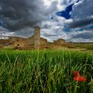 Las ruinas del ParaÃ­so