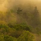 Sun and fog...