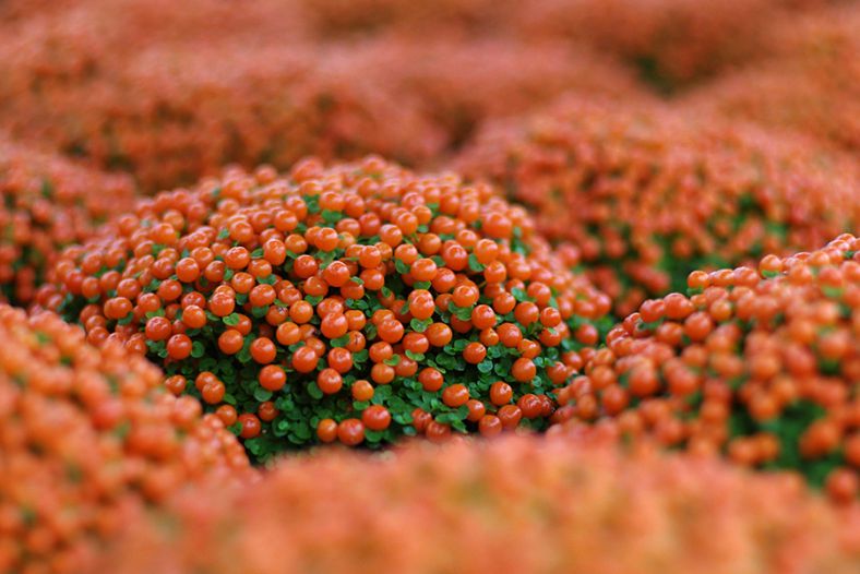 Heavy orange