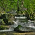 small river