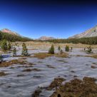 Close Tioga Pass Entrance