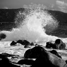 *Splash*