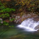 Stream