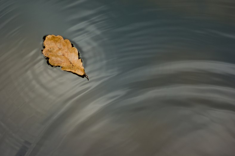 Waves