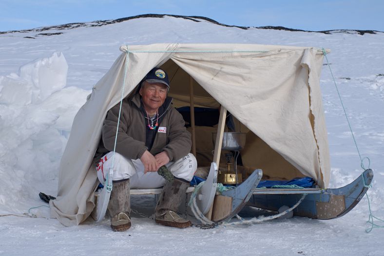 Inuit Dog sled driver