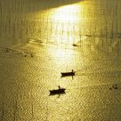 Sailing in the morning