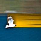 Motion