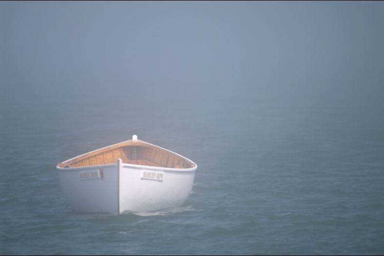 The Fog Creeps In