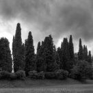 cypress church