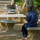 Breakfast in the park
