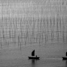 Sailing in the morning