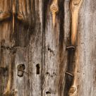 Old door