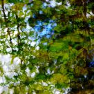 Memories of Monet in Spring