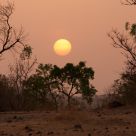 African sun set