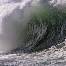 Nature's Raw Power