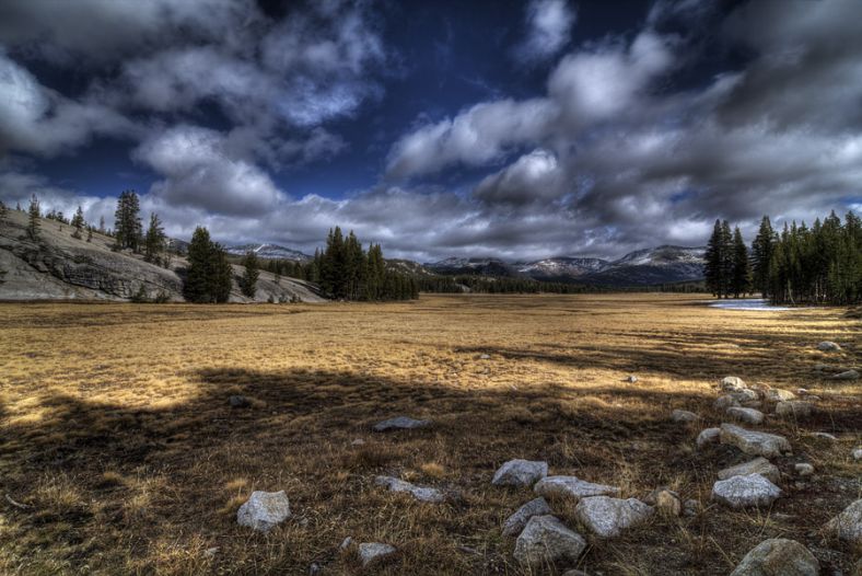 Tuolumne, Tioga Rd