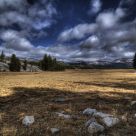 Tuolumne, Tioga Rd
