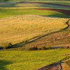 Spring fields