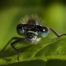 Here's looking at you!