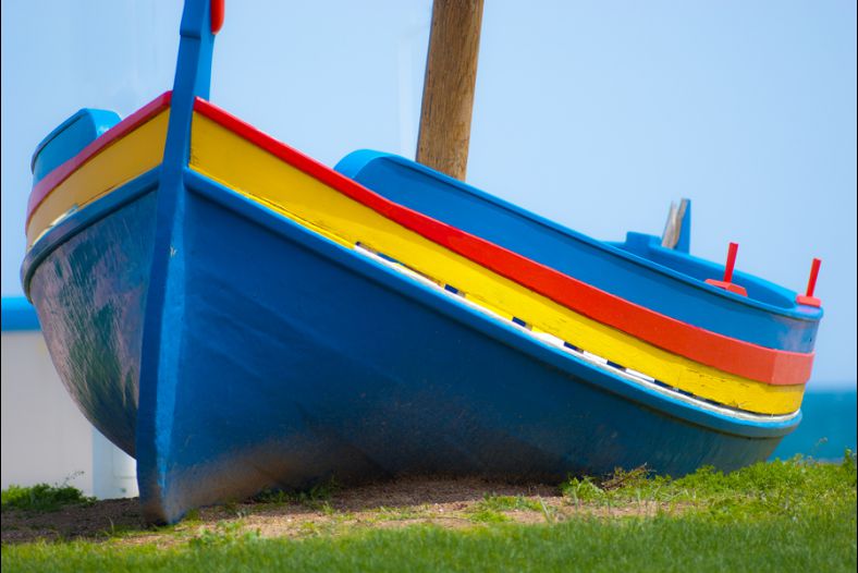 Barque sur l'herbe
