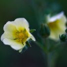 Evening's bright spot