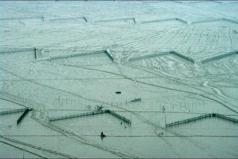 Pattern on the seashore