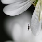 black, white and a touch of yellow