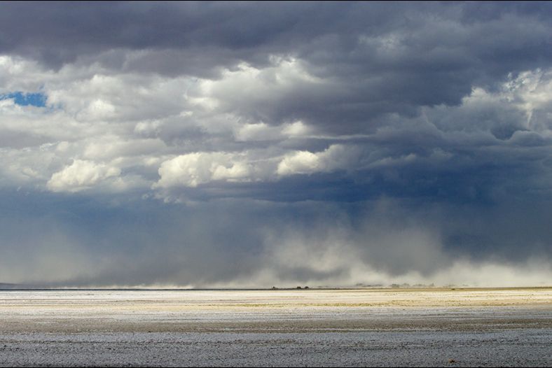 Desert Storm
