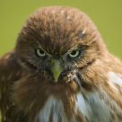 I'm watching you...