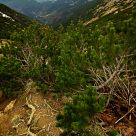 Nizke Tatry