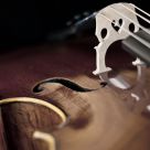 Cello Dreams