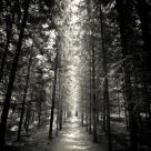 Straight and Narrow