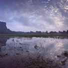 Sigiriya dawn