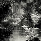Secret garden
